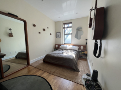 1 bed w/ private bath available in a 3 bed/2 bath apartment in Crown Heights