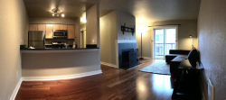 Cozy, comfortable, and quiet 2/2 in Seattle