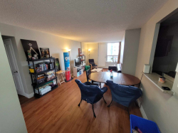 Male Roommate for Spring Sublet Wanted, Waterloo, Regina Street North