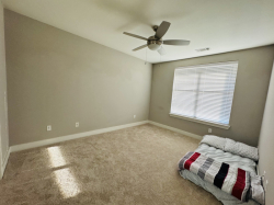 $1,200 / month- Single Room for Rent in 2 Bed/2 Bath Apartment Near Citi Bank Office – (Irving)